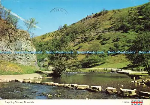 D206567 Dovedale Trittsteine E T W Dennis 1991