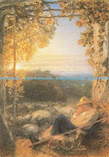 D214620 Cambridge Fitzwilliam Museum The Sleeping Shepherd Morning 1857 Cavendis
