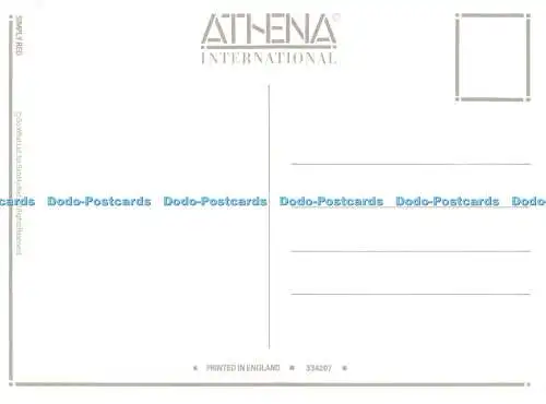 D214624 Simply Red Athena International So What