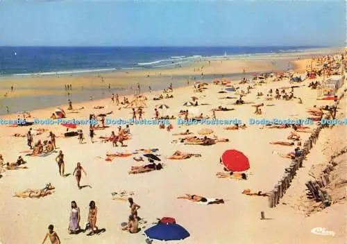 D206577 Lacanau Plage Gironde Cim