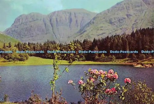 D203821 Torren Lochan and Stob Coire an Lochan Glen Coe Millar and Lang National