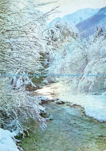D196587 Winterblick auf den Fluss KB Ljubljana A Daris