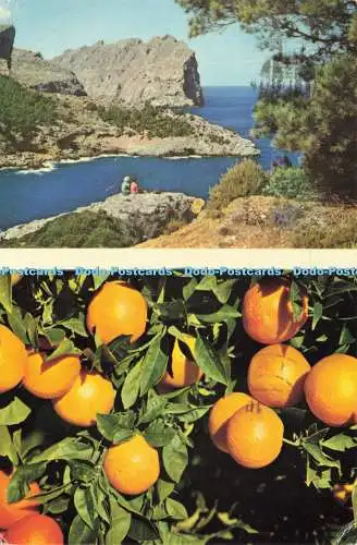 D196608 Mallorca Formentor Frutas de Mallorca Naranjas RO COLOR Marvelli y Reuss