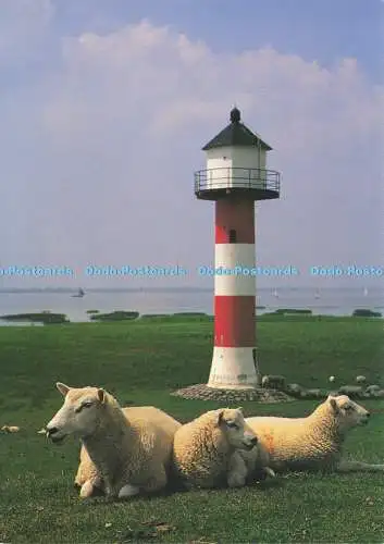 D214661 Gluckstadt Unterfeur Hanse Foto Eigel Wiese