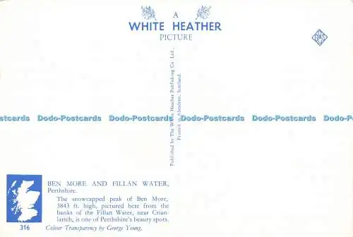 D206983 Perthshire Ben More and Fillan Water The White Heather George Young