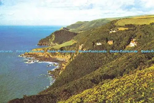 D211994 Devon Woody Bay Near Lynton J Arthur Dixon