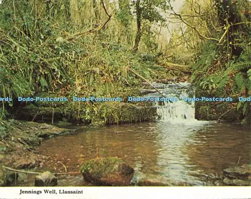 D207382 Llansaint Jennings Well