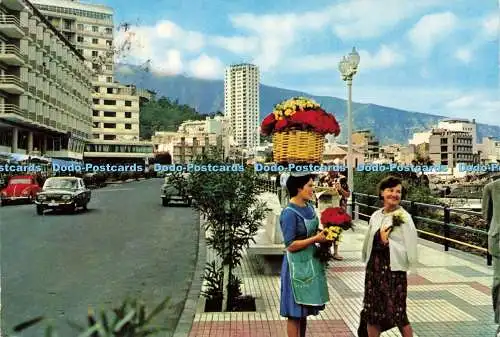 D212293 Teneriffa Puerto de la Cruz Ansicht General Ro Foto