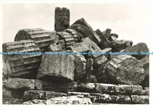 D209870 Selinunte Rovine Tempio Greco F Galifi Crupi S Fiumara und C Galifi