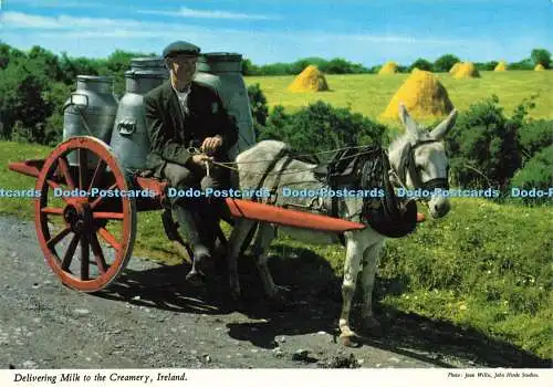D205358 Irland Lieferung von Milch an die Milchkännerei John Hinde Joan Willis