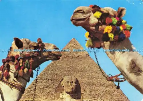 D212322 Gizeh Die Sphinx und die Pyramide von Khafre
