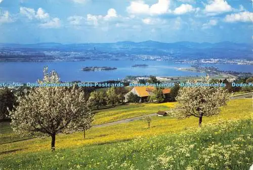 D207814 Zürichsee mit Rapperswil Stehli Nr 2899