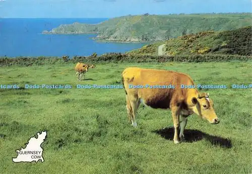 D205706 Guernsey Cow and Icart Point A and J Wholesale 1987