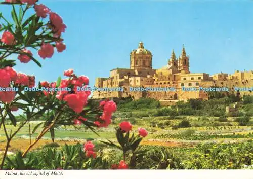 D205718 Mdina die alte Hauptstadt Maltas Printex Kathedrale Bibliothek Sliema