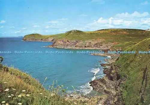 D212745 North Cornwall Lundy Bay and Kellan Head Nr Polzeath Colin Richardson Pr
