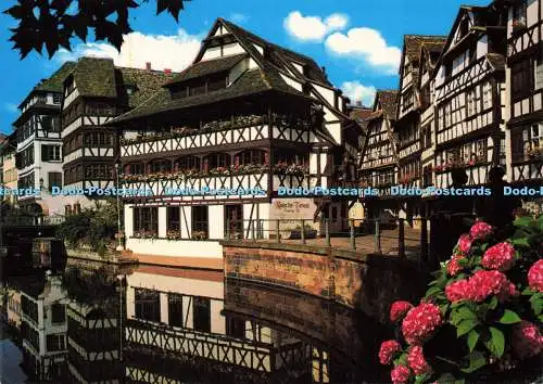 D211309 Straßburg Das Pflanzenbad Hansi