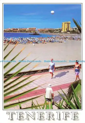 D214306 Teneriffa Los Cristianos Solajero No 1083 TF 2007