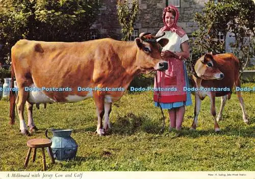 D216382 Ein Milchmädchen mit Jersey Kuh und Kalb John Hinde E Ludwig