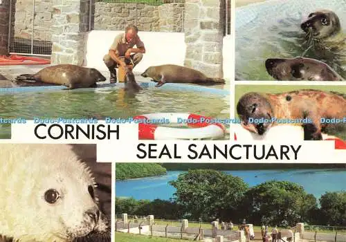 D216393 Cornish Seal Sanctuary Gweek Photo Precision Multi View