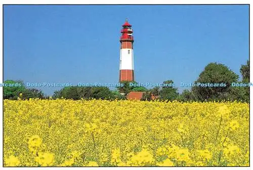 D216684 Leuchtturme Flugge Fehmarn Eiland von Ottmar Heinze