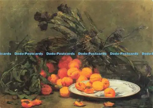 D218524 Stillleben mit Aprikosen und Iris Marie De Bievre Mark Mitchell