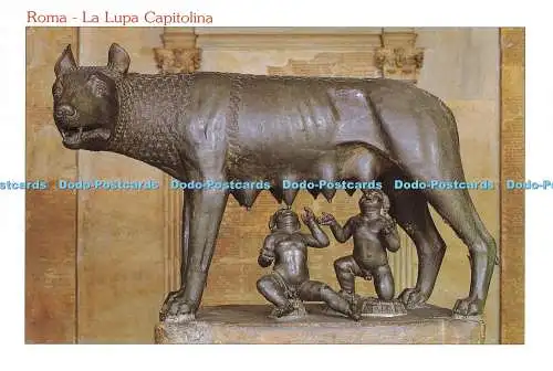 D216795 Roma The Capitol She Wolf
