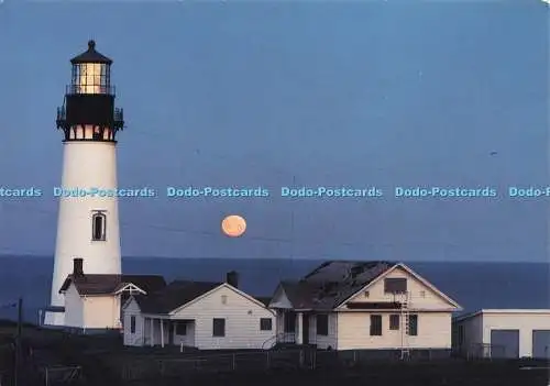 D217033 Oregon Yaquina Head Lighthouse Newport Forinash