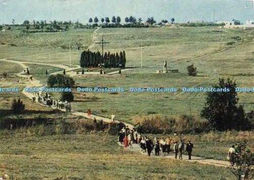 D218826 Lidice Massengrab der von den Nazis hingerichteten Männer Orbis K Plicka