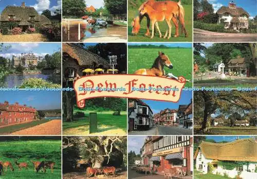 D222882 New Forest John Hinde Multi View