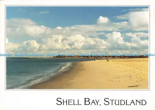 D222909 Studland Shell Bay The Delpool Picture Library Dolphin Printers Michael