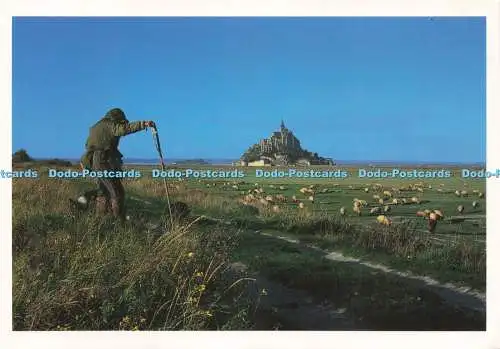 D219037 Abbaye de Mont Saint Michel Manche Les Pres Sales de la Baie Du Mont Sai