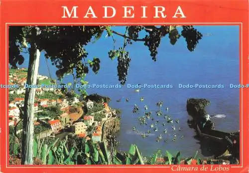D220928 Madeira Camara de Lobos Fischerhafen Huber Garmisch 2004