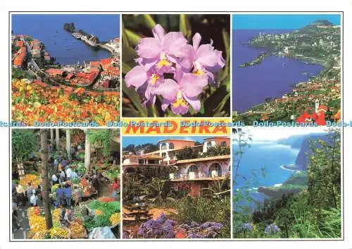 D220983 Madeira Ansichten der Insel Francisco Ribeiro Multi View 2007