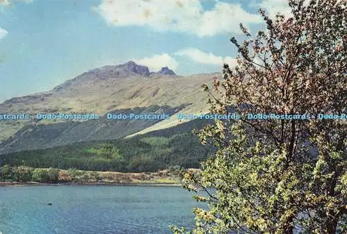 D223136 Schottland Der Schuster oder Ben Arthur J Arthur Dixon W S Thomson