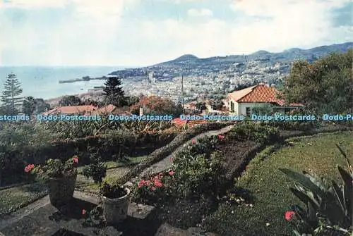 D225197 Madeira Funchal aus einer privaten Quinta auf der East Side J Arthur Dixon Lt