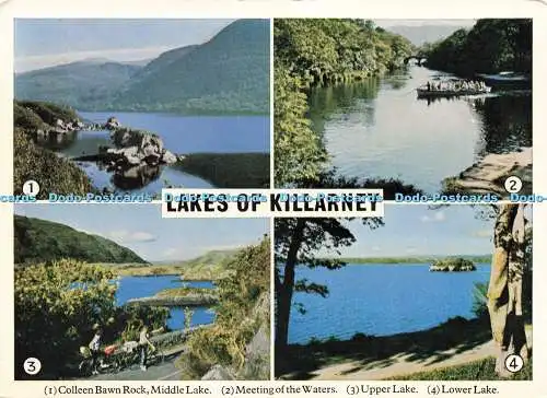 D223333 Seen von Killarney Treffen der Gewässer Killarney Druckereien MacMon