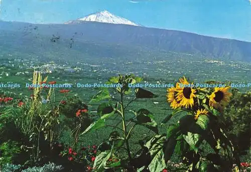 D217672 Teneriffa Valle de la Orotava y Teide Ro Foto Otto Reuss
