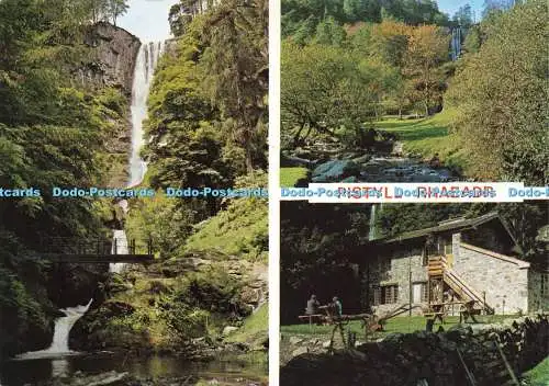 D217689 Pistylenhaar Herbstansicht Richter C 5152 X Mehrfachansicht