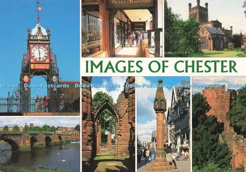 D223469 Bilder von Chester The Rows J Salmon Multi View
