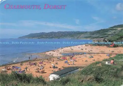 D223488 Charmouth Dorset John Hinde Magnus Rew