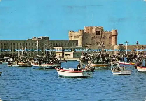 D217819 Alexandria The Fort of Qait Bay Al Ahram Dino Sassi
