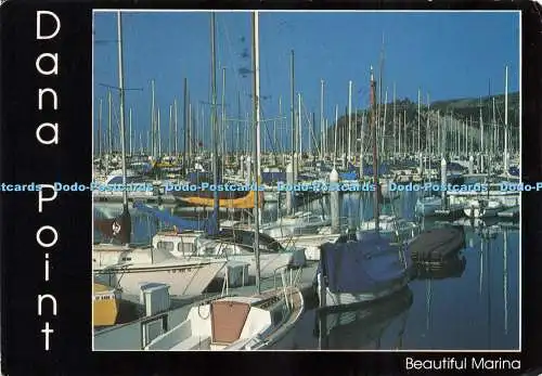 D217860 Dana Point schöne Marina kontinentale Postkarte Ted Schmoll