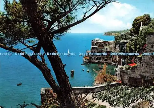 D225548 Napoli Posillipo Ditta Renza Kodak Ektachrome