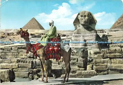 D217953 Die Große Sphinx von Gizeh und Mykerinos Pyramide Lehnert und Landrock K La