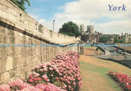 D219823 York City Walls and Minster E T W Dennis Alan Curtis