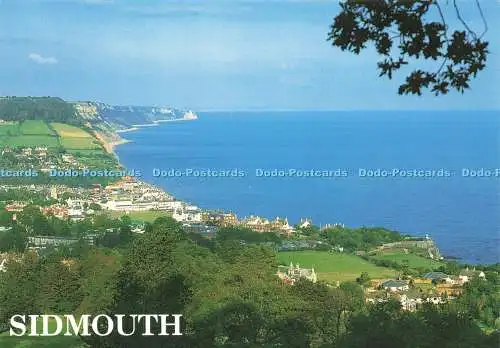 D219896 Sidmouth E T W Dennis Alan Curtis