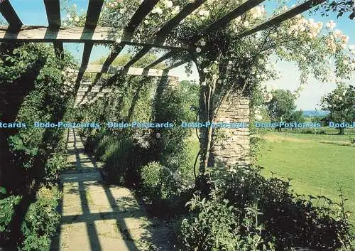 D220026 Somerset Taunton Hestercombe Gardens The Pergola 1999
