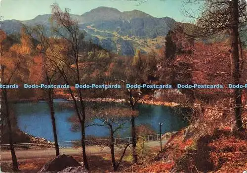 D223978 Perthshire Loch Katrine Trossachs Valentine Scots Bildserie 1965
