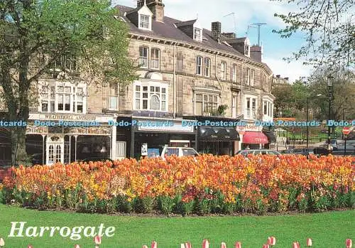 D221885 Harrogate Floral Roundabout E T W Dennis Alan Curtis