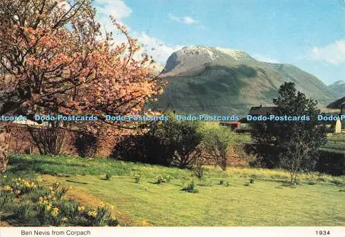 D221912 Ben Nevis von Corpach Whiteholme Hail Caledonia Produkt 1981